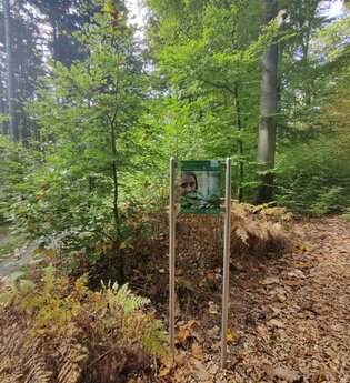 Waldbadepfad Assamstadt | © Liebliches Taubertal