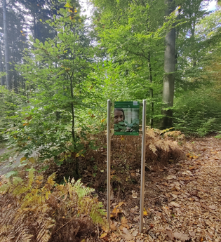 Waldbadepfad Assamstadt | © Liebliches Taubertal