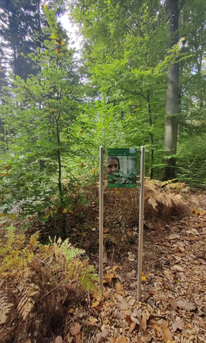 © Liebliches Taubertal