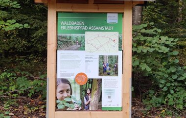 Waldbadepfad Assamstadt | © Liebliches Taubertal