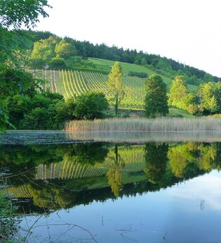 Wälder, Weiher, Weinplateau in Oberderdingen | © Land der 1000 Hügel - Kraichgau-Stromberg