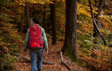 Walderlebnispfad Eichswald | © Touristikgemeinschaft HeilbronnerLand e.V.