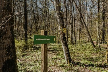 Schild "Waldlehrpfad Eichwald", das die Richtung der Tour anzeigt | © Stadtverwaltung Crailsheim