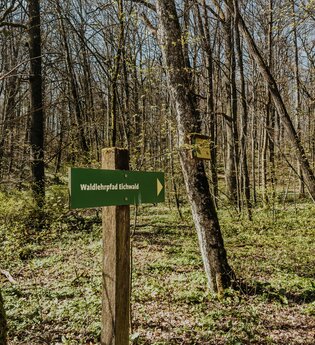 Schild "Waldlehrpfad Eichwald", das die Richtung der Tour anzeigt | © Stadtverwaltung Crailsheim