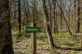 Schild "Waldlehrpfad Eichwald", das die Richtung der Tour anzeigt | © Stadtverwaltung Crailsheim