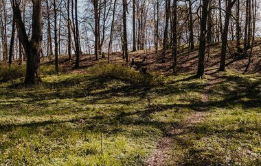 Ein schmaler Pfad führt durch den Wald | © Stadtverwaltung Crailsheim