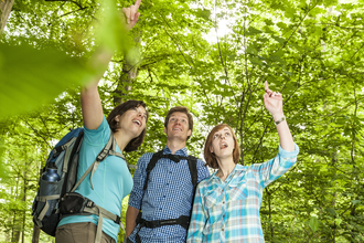 Viel zu entdecken - Baumvielfalt im Naturpark | HeilbronnerLand | © Touristikgemeinschaft HeilbronnerLand e.V.