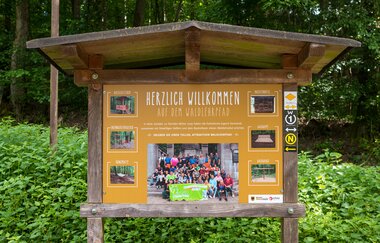 Waldlehrpfad Mühlbergwald Waibstadt | © Landratsamt Rhein-Neckar-Kreis