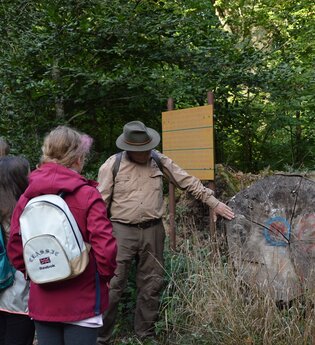 Waldlehrpfad Röttingen | © Liebliches Taubertal
