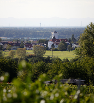 Waldpark-Rundkurs groß | © Land der 1000 Hügel - Kraichgau-Stromberg