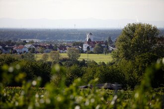 Waldpark-Rundkurs groß | © Land der 1000 Hügel - Kraichgau-Stromberg