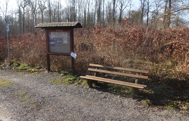 Waldpark-Rundkurs groß | © Outdooractive Redaktion