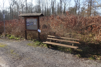 Waldpark-Rundkurs klein | © Outdooractive Redaktion