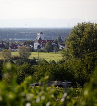Waldpark-Rundkurs