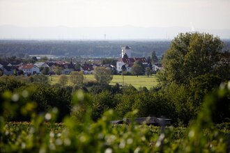 Waldpark-Rundkurs
