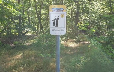 Waldsportpfad Hockenheim | © Landratsamt Rhein-Neckar-Kreis