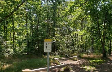 Waldsportpfad Hockenheim | © Landratsamt Rhein-Neckar-Kreis