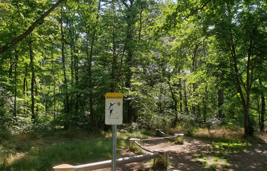Waldsportpfad Hockenheim | © Landratsamt Rhein-Neckar-Kreis