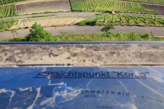 Wandern wo der König wächst | © Gemeinde Sternenfels