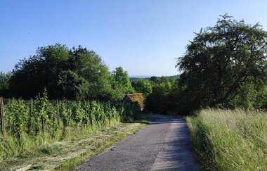 Wandern wo der König wächst | © Gemeinde Sternenfelss