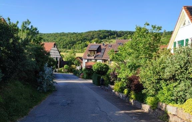 Wandern wo der König wächst | © Gemeinde Sternenfels