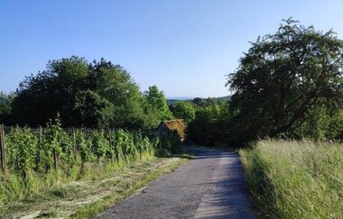 Wandern wo der König wächst | © Gemeinde Sternenfelss
