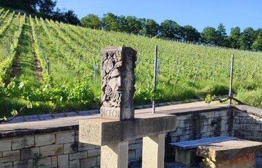 Wandern wo der König wächst | © Gemeinde Sternenfels