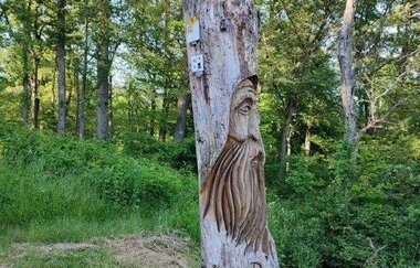 Wandern wo der König wächst | © Gemeinde Sternenfels