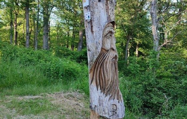 Wandern wo der König wächst | © Gemeinde Sternenfels