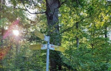 Wandern wo der König wächst | © Gemeinde Sternenfels