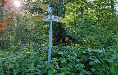 Wandern wo der König wächst | © Gemeinde Sternenfels