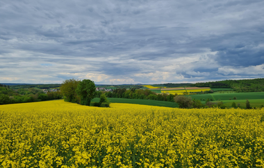 Wanderrunde mit der Krebsbachtalbahn | © Landratsamt Rhein-Neckar-Kreis