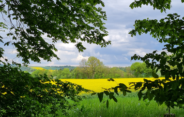 Wanderrunde mit der Krebsbachtalbahn | © Landratsamt Rhein-Neckar-Kreis