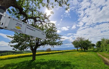 Wanderrunde mit der Krebsbachtalbahn | © Landratsamt Rhein-Neckar-Kreis