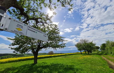 Wanderrunde mit der Krebsbachtalbahn | © Landratsamt Rhein-Neckar-Kreis