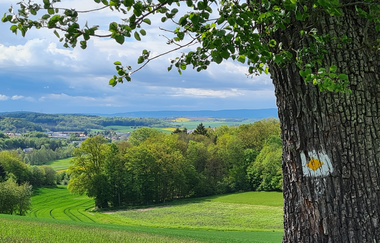 Wanderrunde mit der Krebsbachtalbahn | © Landratsamt Rhein-Neckar-Kreis