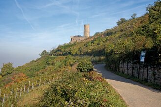 Wanderung von Dossenheim nach Schriesheim | © Landratsamt Rhein-Neckar-Kreis