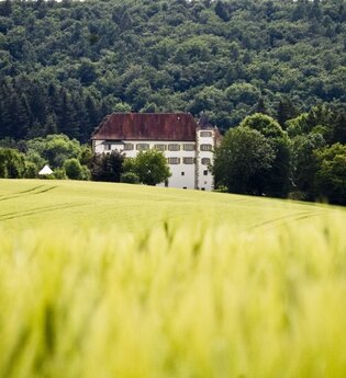 Wanderung zum Schloss Neuhaus in Ehrstädt | © Stadt Sinsheim