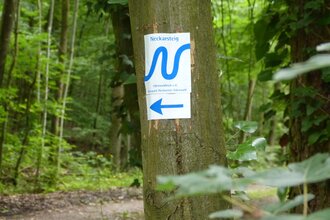 Wanderweg vom Schiffsanleger in Neckargemünd zum Dilsberg | © Landratsamt Rhein-Neckar-Kreis
