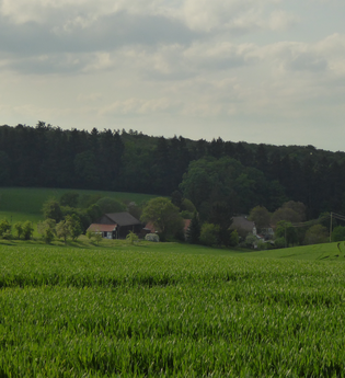 Wanderweg von Siegelsbach nach Neckarbischofsheim | © Landratsamt Rhein-Neckar-Kreis