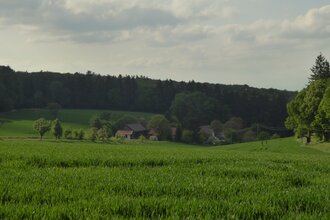 Wanderweg von Siegelsbach nach Neckarbischofsheim | © Landratsamt Rhein-Neckar-Kreis