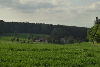 Wanderweg von Siegelsbach nach Neckarbischofsheim | © Landratsamt Rhein-Neckar-Kreis