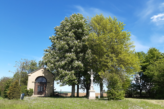 Wegekreuz-Tour Rohrbach a.G. | © Stadtverwaltung Eppingen