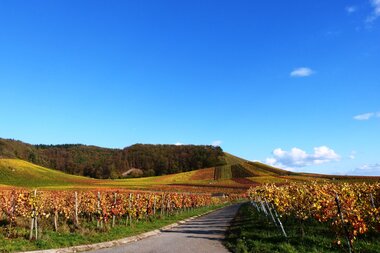© Land der 1000 Hügel - Kraichgau-Stromberg