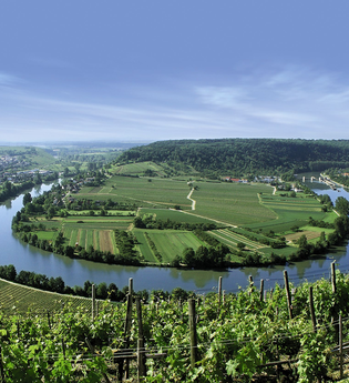 Wein- und Obstwanderweg (Tour 2): Käsberg Höhenweg | © Gemeinde Mundelsheim