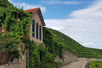 Wein- und Obstwanderweg (Tour 6): Käsbergrundweg