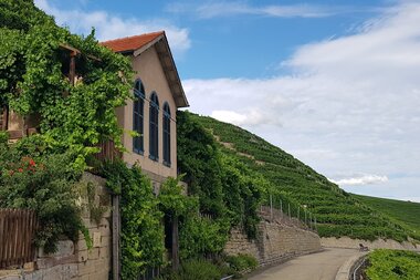 Königshäusle, Mundelsheimer Käsberg