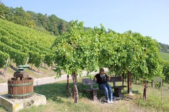 Obersulmer WeinErlebnispfad im Zeilberg | HeilbronnerLand | © Gemeinde Obersulm
