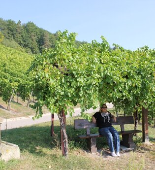 Obersulmer WeinErlebnispfad im Zeilberg | HeilbronnerLand | © Gemeinde Obersulm