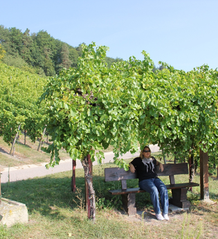 Obersulmer WeinErlebnispfad im Zeilberg | HeilbronnerLand | © Gemeinde Obersulm